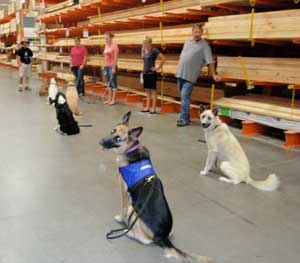 Image Result For Dog Training Classes Redlands Ca Image Result For Dog Training Classes Redlands Ca