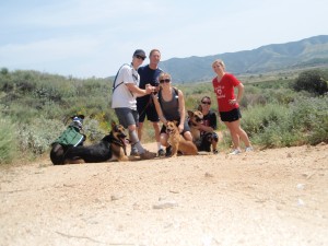 pack run, dog walking, pack hike, enlighten dogs