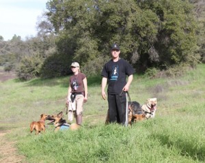 Free hike with Enlighten Dogs, dog training, yucaipa, redlands, beaumont, canine, dogs