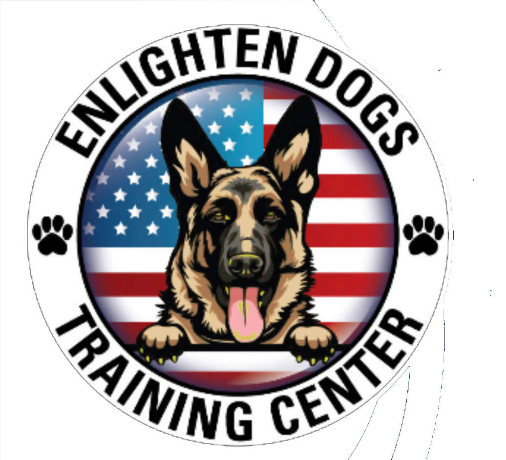 Enlighten Dogs Training